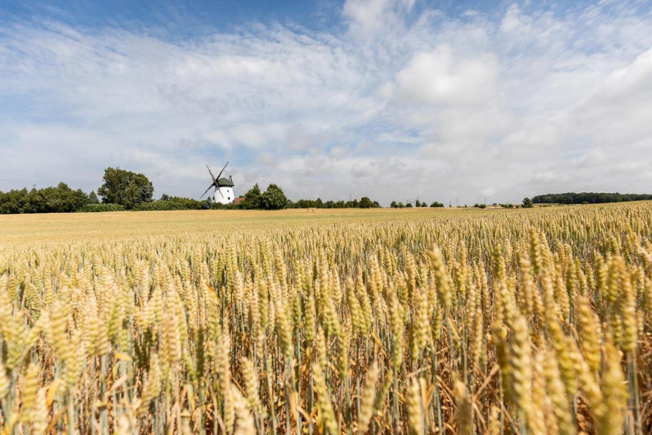 Windmill vacation home in Ledzin near Baltic Sea Niechorze Esterno foto