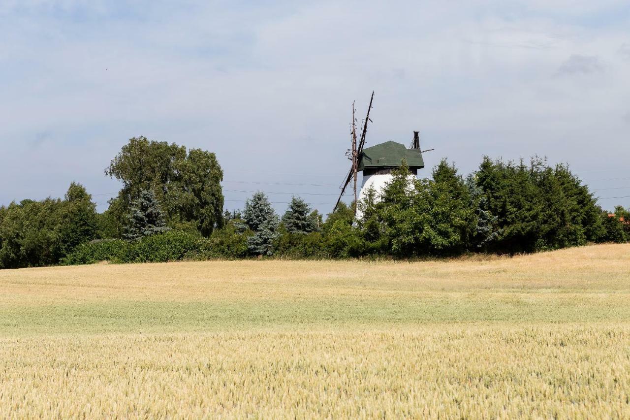 Windmill vacation home in Ledzin near Baltic Sea Niechorze Esterno foto