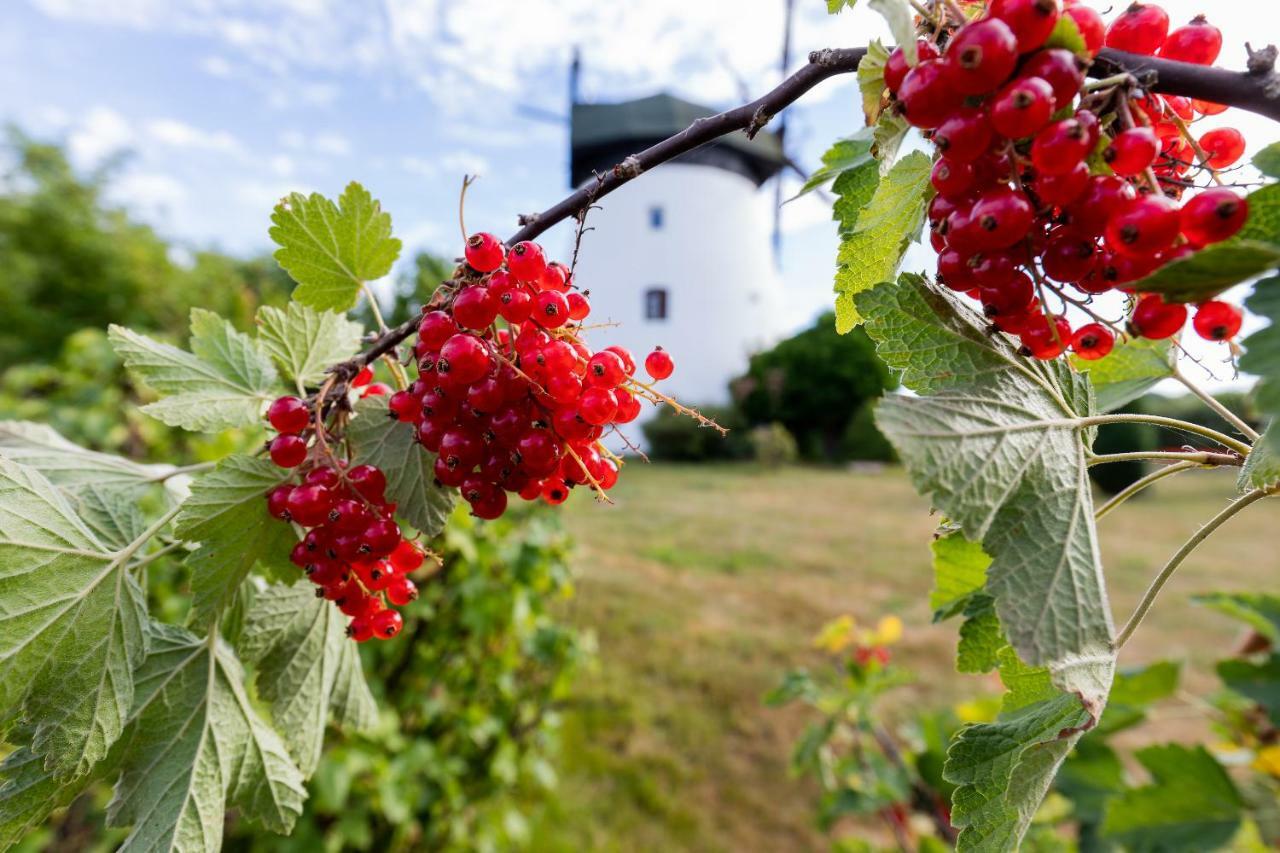Windmill vacation home in Ledzin near Baltic Sea Niechorze Esterno foto