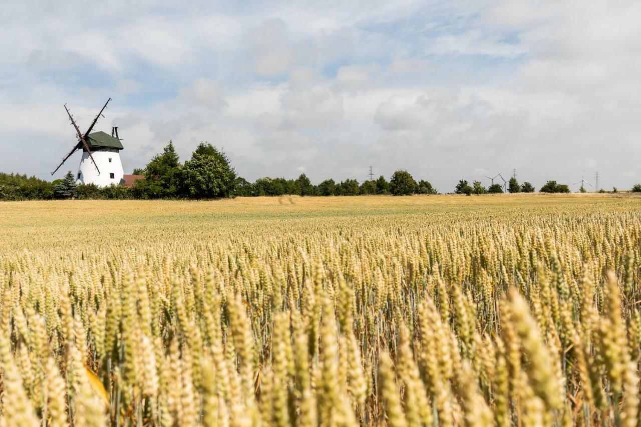 Windmill vacation home in Ledzin near Baltic Sea Niechorze Esterno foto